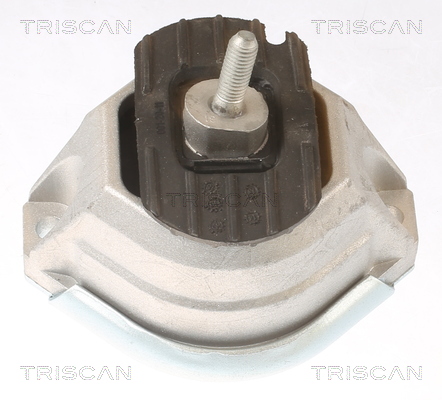 TRISCAN 8505 11114 Lagerung, Motor
