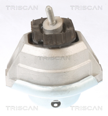 TRISCAN 8505 11114 Lagerung, Motor