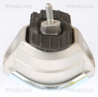 TRISCAN 8505 11115 Lagerung, Motor