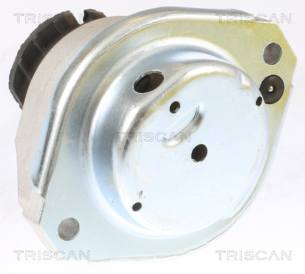TRISCAN 8505 11115 Lagerung, Motor