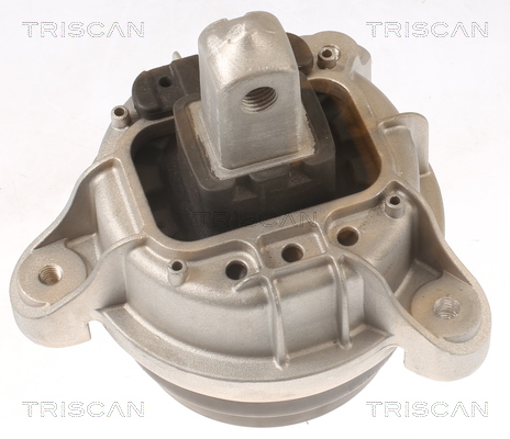 TRISCAN 8505 11116 Lagerung, Motor