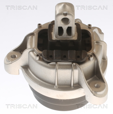 TRISCAN 8505 11117 Lagerung, Motor