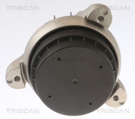 TRISCAN 8505 11117 Lagerung, Motor