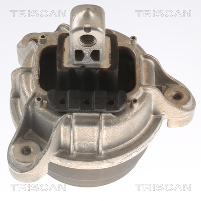 TRISCAN 8505 11118 Lagerung, Motor