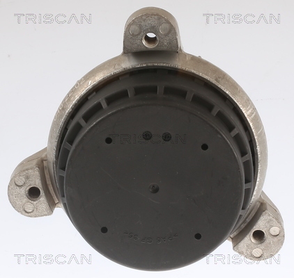 TRISCAN 8505 11118 Lagerung, Motor