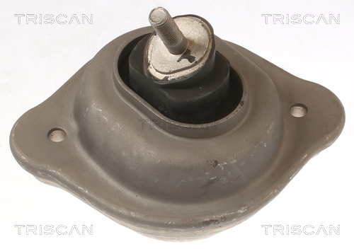 TRISCAN 8505 11119 Lagerung, Motor