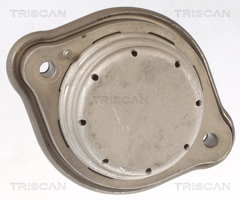 TRISCAN 8505 11119 Lagerung, Motor