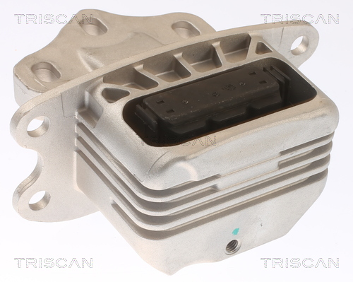 TRISCAN 8505 11120 Lagerung, Motor