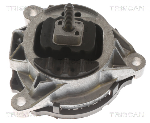 TRISCAN 8505 11121 Lagerung, Motor