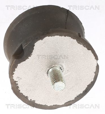 TRISCAN 8505 11201 Lagerung, Automatikgetriebe