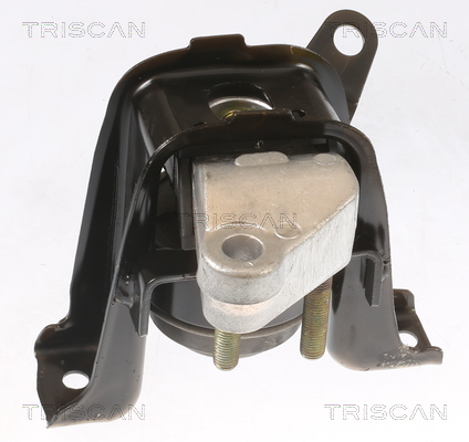 TRISCAN 8505 13100 Lagerung, Motor