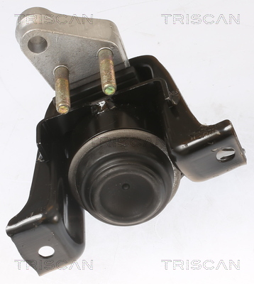 TRISCAN 8505 13100 Lagerung, Motor