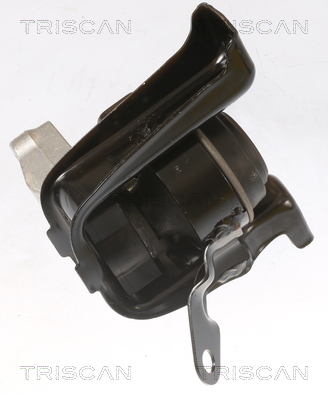 TRISCAN 8505 13100 Lagerung, Motor