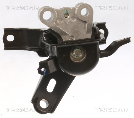 TRISCAN 8505 13101 Lagerung, Motor
