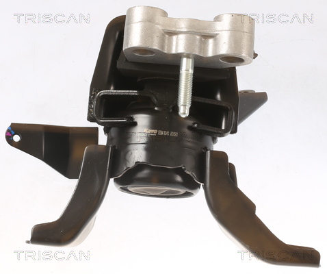 TRISCAN 8505 13101 Lagerung, Motor