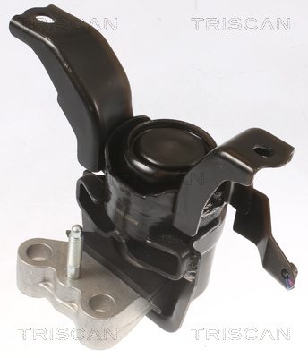 TRISCAN 8505 13101 Lagerung, Motor