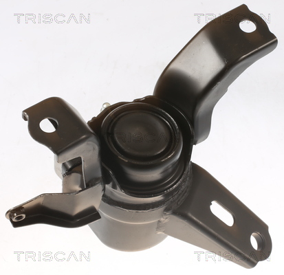 TRISCAN 8505 13101 Lagerung, Motor