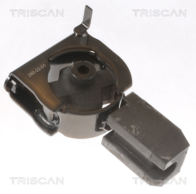 TRISCAN 8505 13102 Lagerung, Motor
