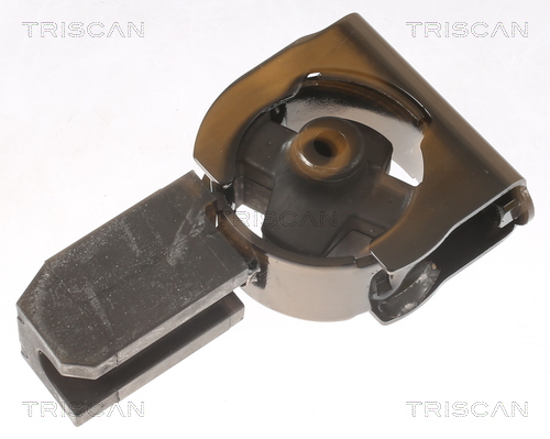 TRISCAN 8505 13102 Lagerung, Motor