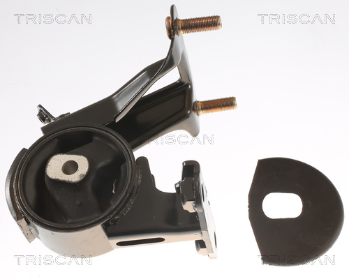 TRISCAN 8505 13103 Lagerung, Motor