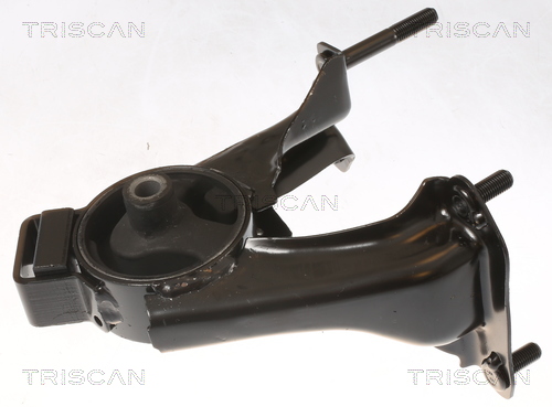 TRISCAN 8505 13104 Lagerung, Motor