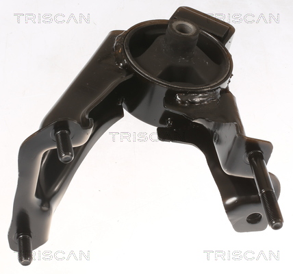 TRISCAN 8505 13104 Lagerung, Motor