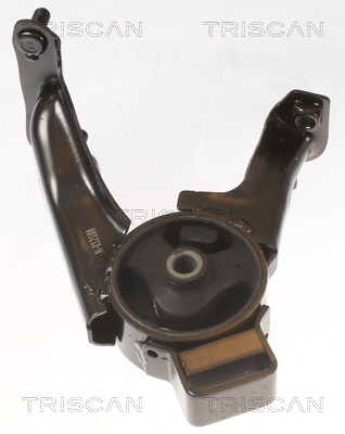 TRISCAN 8505 13104 Lagerung, Motor
