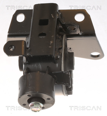 TRISCAN 8505 13105 Lagerung, Motor