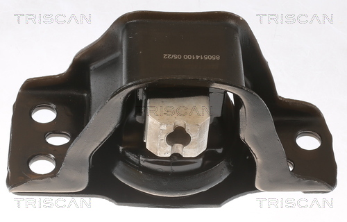 TRISCAN 8505 14100 Lagerung, Motor