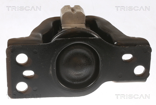 TRISCAN 8505 14100 Lagerung, Motor