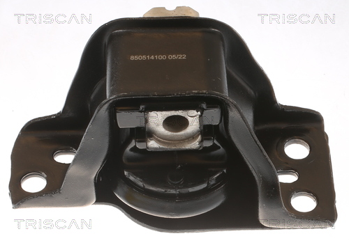 TRISCAN 8505 14100 Lagerung, Motor