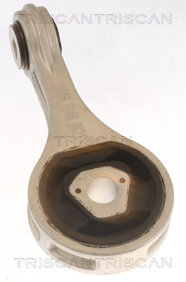 TRISCAN 8505 15100 Lagerung, Motor