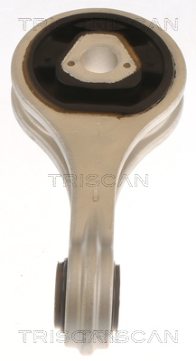 TRISCAN 8505 15100 Lagerung, Motor