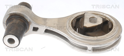 TRISCAN 8505 15101 Lagerung, Motor
