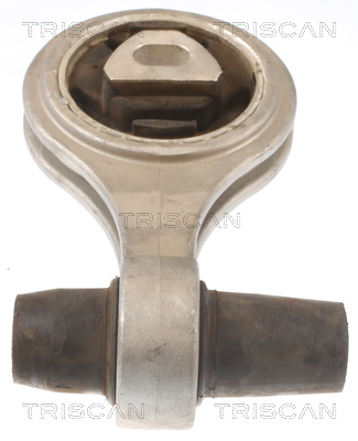 TRISCAN 8505 15101 Lagerung, Motor