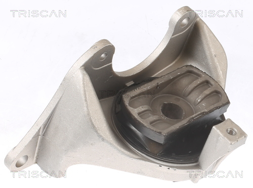 TRISCAN 8505 15102 Lagerung, Motor