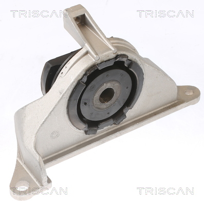 TRISCAN 8505 15102 Lagerung, Motor