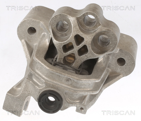 TRISCAN 8505 15104 Lagerung, Motor