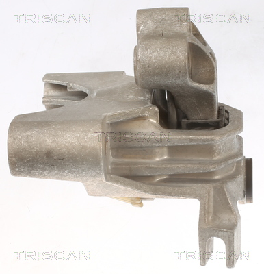 TRISCAN 8505 15104 Lagerung, Motor