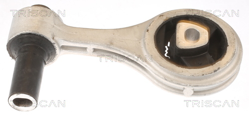 TRISCAN 8505 15105 Lagerung, Motor