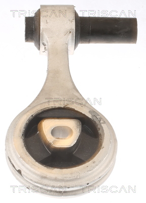 TRISCAN 8505 15105 Lagerung, Motor