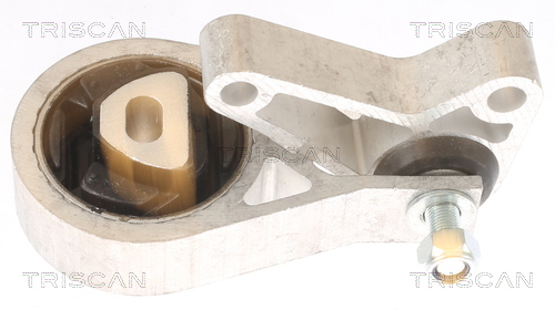 TRISCAN 8505 15106 Lagerung, Motor