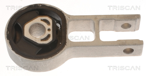 TRISCAN 8505 15107 Lagerung, Motor