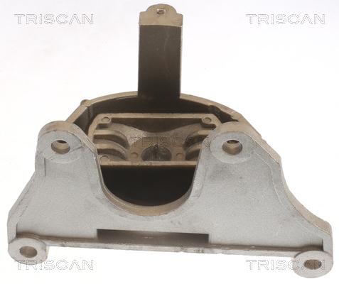 TRISCAN 8505 15108 Lagerung, Motor