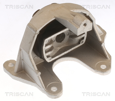 TRISCAN 8505 15108 Lagerung, Motor