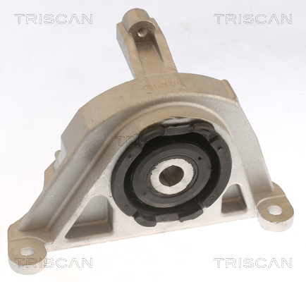 TRISCAN 8505 15108 Lagerung, Motor