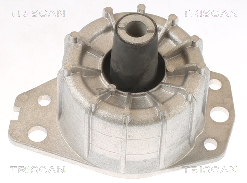 TRISCAN 8505 15109 Lagerung, Motor