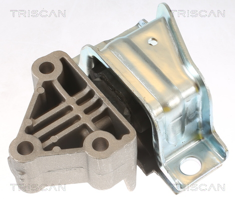 TRISCAN 8505 15110 Lagerung, Motor