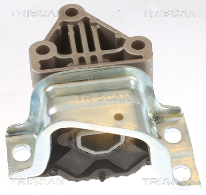 TRISCAN 8505 15110 Lagerung, Motor