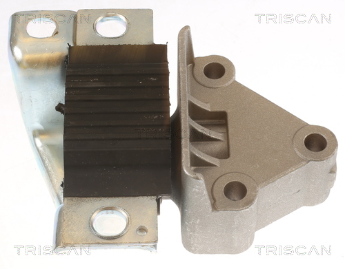 TRISCAN 8505 15110 Lagerung, Motor
